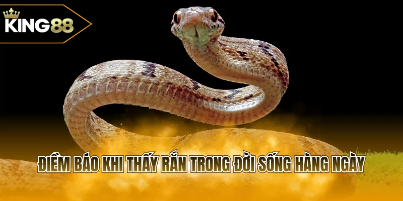 Điềm báo khi thấy rắn trong đời sống hàng ngày