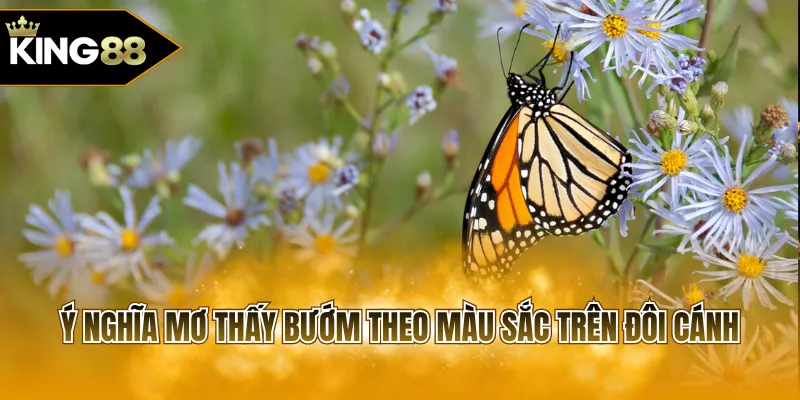 Ý nghĩa mơ thấy bướm theo màu sắc trên đôi cánh